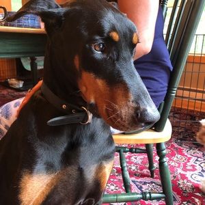 Meet your Posher, Reg